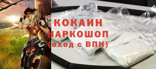 твердый Богородицк