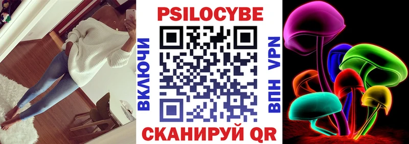 цены   Мегион  Псилоцибиновые грибы Cubensis 